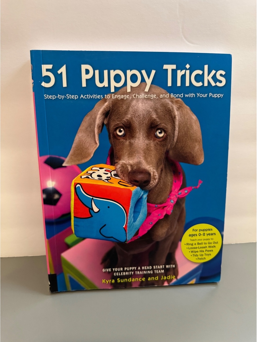 51 Puppy Tricks: Step-by-Step to Engage, Challenge & Bond with Your Puppy